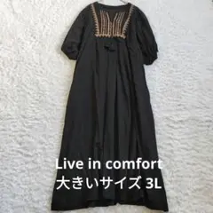 リブ イン コンフォート くぼっち すっきり見えボリューム袖の刺しゅうワンピース