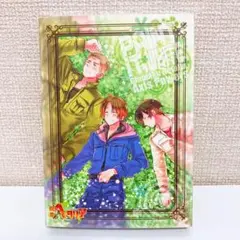 【アニメイト限定版】 銀幕ヘタリア ぷれみあむ版・祭 DVD