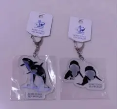 須磨シーワールド 1周年記念グッズ アクリルキーホルダー シャチ ステラ ラン