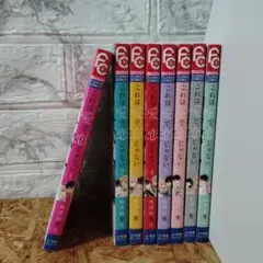 これは愛で恋じゃない 全巻セット