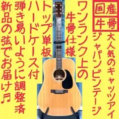 希少 TOKAI クラシックギター 鉄線ギター No540 Tokai ART No.540 鉄線ギター｜hoocoochie