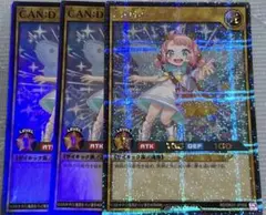 CAN:D 絵違い　シークレット　スーパー　決闘者の王国　限定　3枚セット