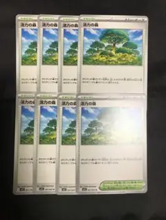 活力の森８枚　ポケモンカード