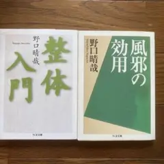整体入門　風邪の効用　セット