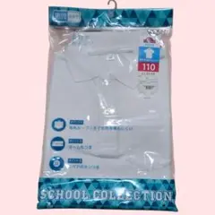 Item thumbnail for item c0daf07a-06b2-4775-948f-6ea014d47f52