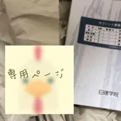 専用出品(4000円)