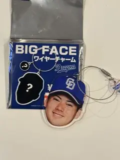 BIG FACE ワイヤーチャーム Dragons 21 金丸 夢斗
