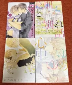 小嶋ララ子 まとめ売り