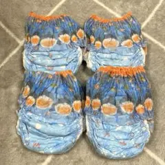 ムーニー moony 水遊びパンツ Mサイズ　4枚