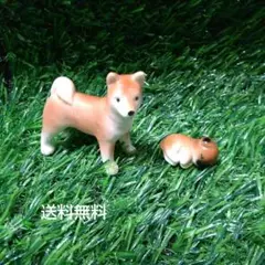 Item thumbnail for item 0a27399b-0e45-423a-bf2f-64cc9391c54f