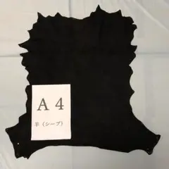 4.17m2.BK スエード