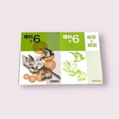 中学受験 合格自在 理科6下巻 解答と解説付き