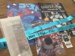 Eve Under Blue 入場特典チケット　ステッカー　銀テープ　チラシ