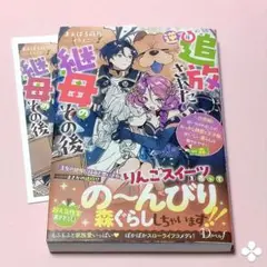 逆追放された継母のその後　書泉限定購入特典SSペーパー付き