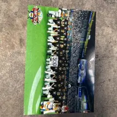 北海道日本ハムファイターズ ホーム500勝記念ポストカード