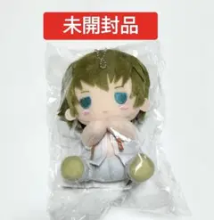 ときめきメモリアル 葉月珪 ぴたぬい Girl's Sideシリーズ　未開封品