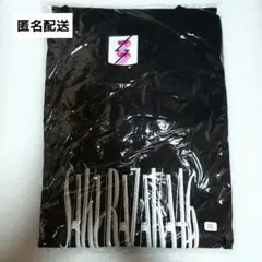 Item thumbnail for item 4e35d139-3cc6-40a0-8ed2-6c2e23782f90