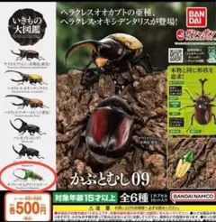 いきもの大図鑑 かぶとむし 09 カブトハナムグリ(イエロー) 未開封