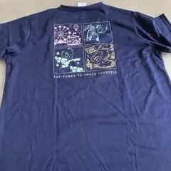 Curves ネイビー Vネック TシャツLサイズ