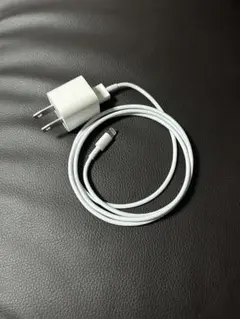 【新品】Apple iPhone 純正 充電器
