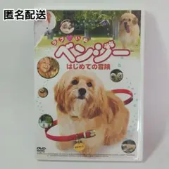 【匿名配送】ラブいぬ ベンジー はじめての冒険 DVD