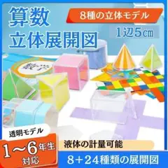 算数 立体展開図模型知育玩具 算数セット 小学校 受験 パズル 05７