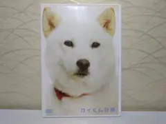 ⭐カイくん日和 DVD⭐