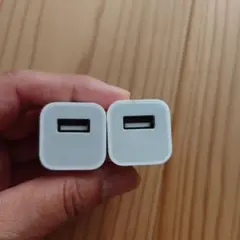 USB電源アダプタ1口タイプ×2個セット【A4】