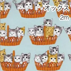 Item thumbnail for item a4a29a55-548f-483a-81d2-7361f61387f0