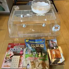 Item thumbnail for item ff01cc5b-dfbf-4156-be80-08312b698e14