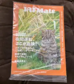 Item thumbnail for item 25a8b870-188a-413a-b20b-2111a0dcb4a2