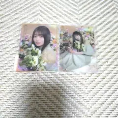 Item thumbnail for item 358608ad-1555-4f5e-9295-6b9273ef2c78