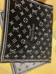 LOUIS VUITTON タオルケット