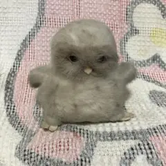 やまね工房　ぬいぐるみ　リアル　ふくろう　うさぎ　かやねずみ　ももんが　いいずな やまね工房 ぬいぐるみ リアル ふくろう うさぎ かやねずみ