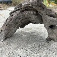 Item thumbnail for item c73b6767-b9ed-4e19-bac4-90b8c0192738