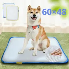 Item thumbnail for item 07b85ec7-51f8-4540-a8a1-e31f1b632f65