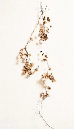 天然無着色無脱色★山芋の花殻⑦
