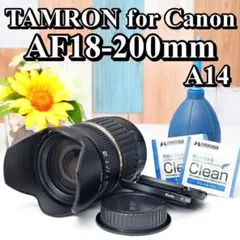 Item thumbnail for item 2f9ab0c4-1445-4210-bb1f-ba801de587d2