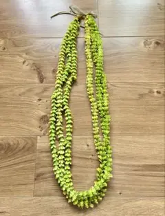 パカラナ　レイ　グリーン3連