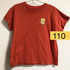 Item thumbnail for item 10b4fe9c-cdd6-4339-9da2-5deec4f627c5