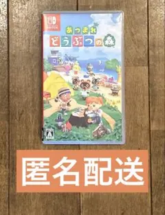 あつまれ どうぶつの森 Nintendo Switch