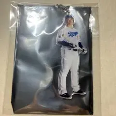 中日ドラゴンズ 細川成也 選手アクリルキーホルダー
