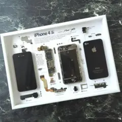 iPhone4 標本アート ホワイト iPhone4 標本アート ホワイト フレーム無】iPhone 4 White 標本