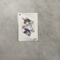 crazy raccoon コレクションカード　とっぴー