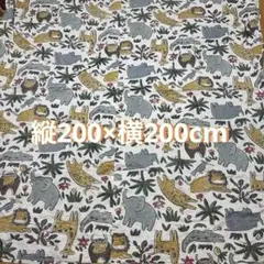 Item thumbnail for item 9f023b90-f25e-4c2c-ae8c-7096d35ccc98