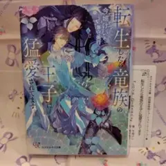 転生したら竜族の王子に猛愛されてます