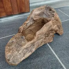 流木プランター