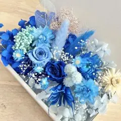 Item thumbnail for item 4f1429a3-1491-45e8-9b98-9b6a25847f33