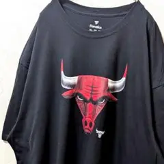 ファナティクスNBAシカゴブルズ ロゴ Tシャツ ブラック 黒 3XL 古着