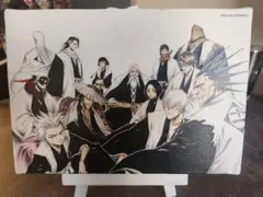 BLEACH キャラクターキャンバスアート